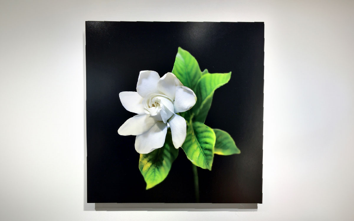 media-KaoArtExhibition2 media-KaoArtExhibition2
